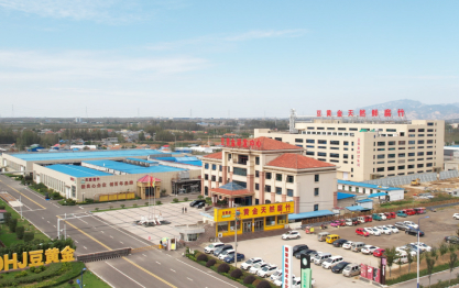 視覺升級 | 聚焦0添加，豆黃金開啟品牌煥新！